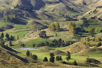 Farmland near Bells Junction, Rangitikei District, Central North Island, New Zealand Fine Art Print