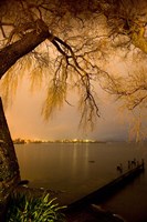 City Lights across Lake Rotorua, Rotorua, Bay of Plenty, North Island, New Zealand Fine Art Print