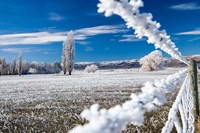 Hoar Frost and Farmland near Poolburn, Central Otago, South Island, New Zealand Fine Art Print