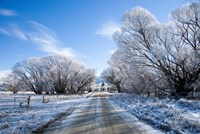 Hoar Frost near Oturehua, Central Otago, South Island, New Zealand Fine Art Print