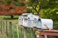 Letterboxes, King Country, North Island, New Zealand Fine Art Print