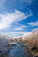Manuherikia River and Hoar Frost, Ophir, Central Otago, South Island, New Zealand Fine Art Print