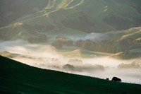 Misty Farmland near Martinborough, Wairarapa, North Island, New Zealand Fine Art Print