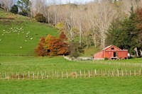 Wool Shed and Farmland, Kawhatau Valley, Rangitikei, North Island, New Zealand Fine Art Print