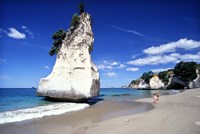 Cathedral Cove, Coromandel Peninsula Fine Art Print