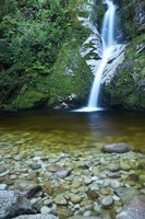Dorothy Falls, Lake Kaniere, South Island, New Zealand Fine Art Print