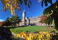 The Clocktower, University of Otago, Dunedin, New Zealand Fine Art Print