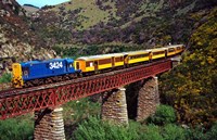 Taieri Gorge Train, near Dunedin, Otago, New Zealand Fine Art Print