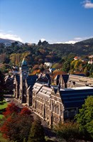 University of Otago, Dunedin, New Zealand Fine Art Print