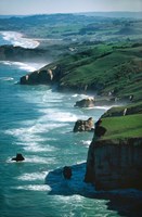 Dunedin Coast near Tunnel Beach, New Zealand Fine Art Print