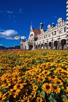 Historic Railway Station and field of flowers, Dunedin, New Zealand Fine Art Print