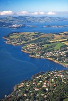 Macandrew Bay, Otago Harbor, Dunedin, New Zealand Fine Art Print