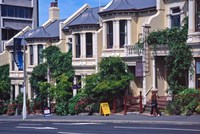 Historic Terrace Houses, Stuart Street, Dunedin, New Zealand Fine Art Print