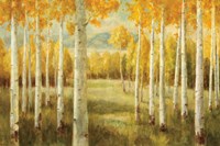 Aspens Fine Art Print