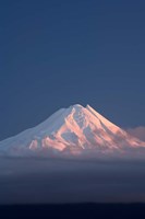 Alpenglow on Mt Taranaki, North Island, New Zealand Fine Art Print
