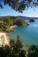 Breaker Bay, Honeymoon Bay, South Island, New Zealand Fine Art Print
