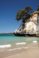 Cathedral Cove, Coromandel Peninsula, North Island, New Zealand Fine Art Print