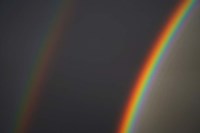 Double Rainbow, Dunedin, Otago, South Island, New Zealand Fine Art Print