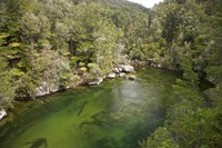 Falls River, Abel Tasman, South Island, New Zealand Fine Art Print