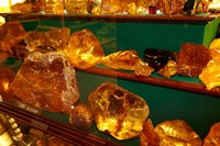 Kauri Gum, Kauri Museum, North Island, New Zealand Fine Art Print