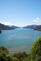 Mahakipawa Arm, South Island, New Zealand Fine Art Print