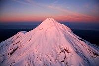 Mountain Alpenglow, Taranaki, North Island, New Zealand Fine Art Print