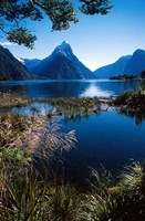 New Zealand, Mitre Peak, Milford Sound, Fiordland NP Fine Art Print