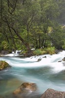 New Zealand, North Island, Rapids on Tarawera River Fine Art Print