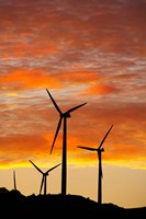 New Zealand, North Island, Te Apiti Wind Farm, Energy Fine Art Print