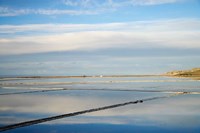 New Zealand, South Isl, Evaporation Ponds, Lake Grassmere Fine Art Print