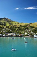 New Zealand, South Island, Canterbury, Akaroa Harbor Fine Art Print