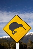 New Zealand, South Island, Road Sign, St Arnaud Range Fine Art Print