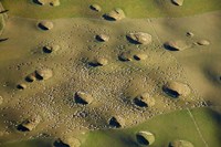 New Zealand, South Island, Sinkholes, Sheep, Agriculture Fine Art Print