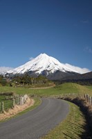 Road, Mt Taranaki, Mt Egmont, North Island, New Zealand Fine Art Print