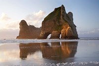 Rock Formation, Archway Island, South Island, New Zealand (horizontal) by David Wall - various sizes