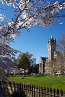 Spring, Clock Tower, Dunedin, South Island, New Zealand (vertical) Fine Art Print