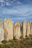 Stone sheep yards, Middlemarch, South Island, New Zealand Fine Art Print