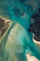 Tidal Patterns, Awaroa Inlet, South Island, New Zealand Fine Art Print