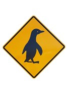 Penguin Warning Sign, New Zealand Fine Art Print