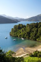 Whenuanui, Becks Bay, Marlborough Sounds, South Island, New Zealand Fine Art Print