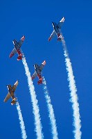 Aerobatic display by North American Harvards, or T-6 Texans, or SNJ, Airshow Fine Art Print