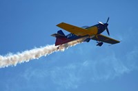 MX2 aerobatic aircraft airshow Fine Art Print