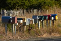 Rural Letterboxes, Otago Peninsula, Dunedin, South Island, New Zealand by David Wall - various sizes
