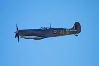 Supermarine Spitfire, British and allied WWII War Plane, South Island, New Zealand Fine Art Print