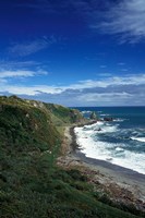 New Zealand, South Island, Cape Foulwind coastline Fine Art Print