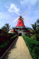 Windmill, Famous Old Mill Restaurant in Aruba Fine Art Print