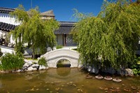 Chinese Gardens, Dunedin, South Island, New Zealand Fine Art Print