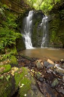 Horseshoe Falls, Matai Falls, Catlins, New Zealand Fine Art Print