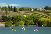Kayakers and vineyard, Bannockburn Inlet, Lake Dunstan, Central Otago, South Island, New Zealand Fine Art Print