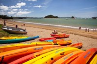 Kayaks on beach, Paihia, Bay of Islands, Northland, North Island, New Zealand Fine Art Print